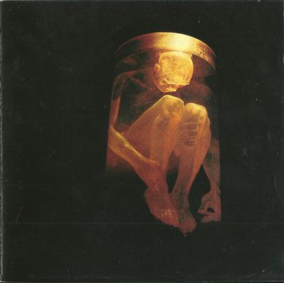 CD ALICE IN CHAINS - Nothing Safe: The Best Of The Box CK63649,63649S1 Columbia 1999 US Rock Använt