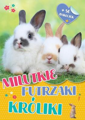 Cute Furry Creatures. Rabbits