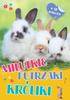 Cute Furry Creatures. Rabbits