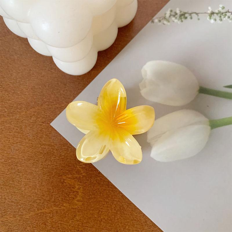 6 Stück Hawaiianische Farbverlauf-Haarspangen Blumen-Haarkrallen Damen-Haarschmuck Kleine Größe Kopfschmuck Haarnadel Krabben-Haarklammer