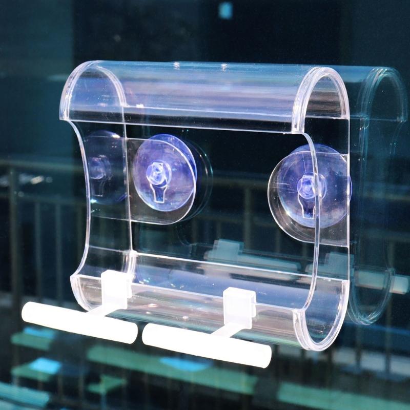 Plastic Perch Birdcage Training Stand Accessory Clip to Window Feeders for Budgerigar Parakeets Lovebird 6-Piece Set