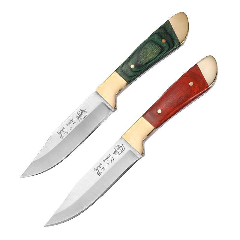 2025 New Design Handmade Forged Stainless Steel Meat Knife Steak Knife, Household Fruit Meat Cutting Knife, Hand Meat Picking Knife