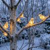 Oświetlenie – Lampki i oświetlenie świąteczne