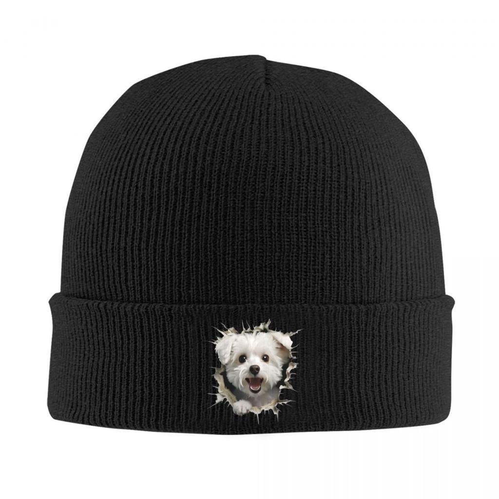 Breaking Through Cute Dog Warm Knitted Cap Winter Knit Bonnet Hat Skullies Beanies Hip Hop Caps for Unisex