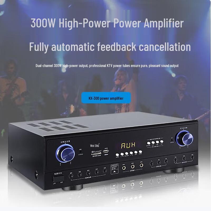 Weishu BM-8 10-inch Wall-Mounted Passive Speaker System