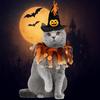 Adjustable Cat Collar Hat Set Pumpkin Pet Halloween Supplies Fuuny Halloween Cat Costume  Small Dog