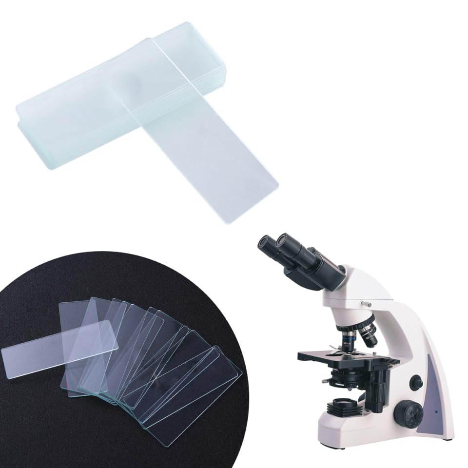 Set of 12 Microscope Glass Precision Optical for Specimen Biological Science and Observation X X Cm Slides, Polished, Glass, Preparation, Education,