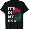 Its In My Dna Black Liberation Flag Pan African Unia T Shirt