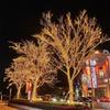 LED Outdoor Waterproof Color Changing String Lights