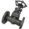 Xiesheng Z41H Forged Steel Gate Valve