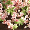 Simulation Cherry Blossom Long Branch 2 Fork Peach Blossom Branch Wedding Decoration Landscaping Ornaments Artificial Flowers