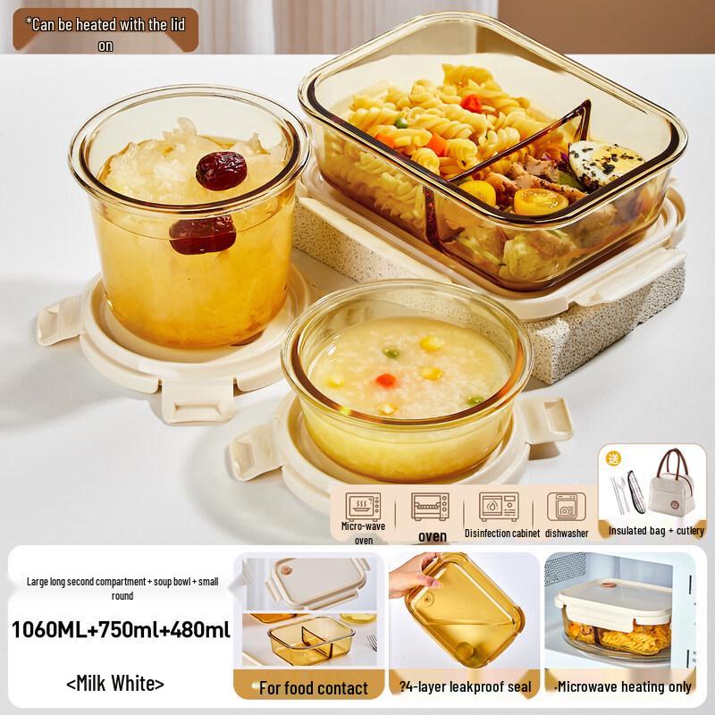 Airtight Divided Glass Lunch Box