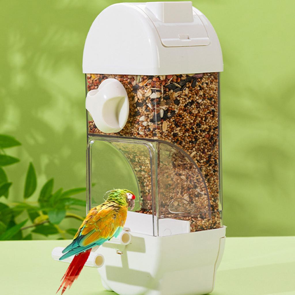 Clear Semi Closed Automatic Bird Feeder Splash Proof Designs Parrot Feeder Food Seed Container for Small to Medium Birds