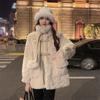 Autumn Winter New Thickened Fur One Piece Imitation Rabbit Hair Lamb Fur Standing Collar Loose Fur Coat Fashion Women