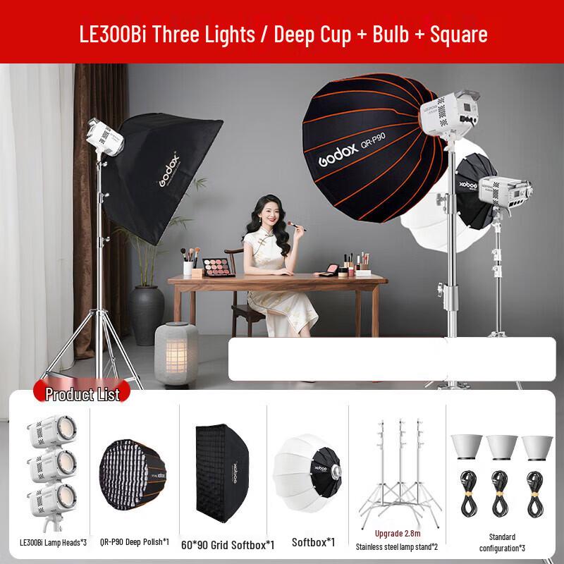 Godox LE300Bi Bi-Color LED Studio Continuous Light Kit