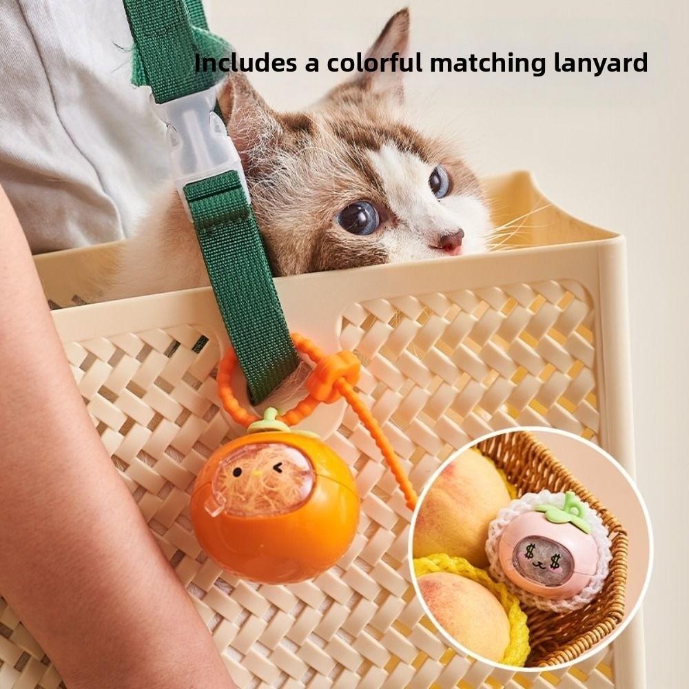4Pcs Portable Pet Hair Keychain Transparent Dog Fur Storage Pendant  for Dog Cat Hair and Ashes