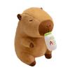 Capybara Ab Bottle Dress Up Cartoon Plush Toys Childres Birthday Gifts Dolls
