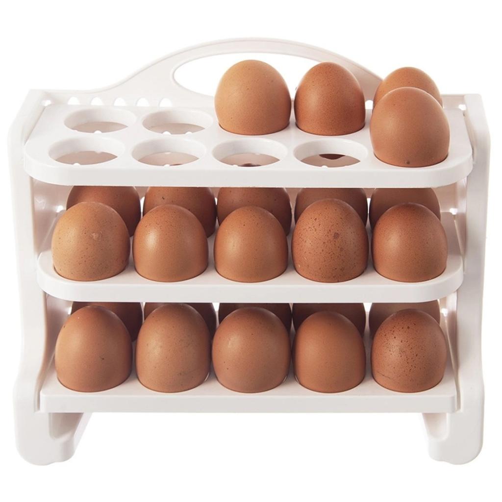 ORGANIZER CONTAINER FOR 30 EGGS 154059