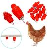 Automatic Poultry Nipple Drinker - Stainless Steel Ball