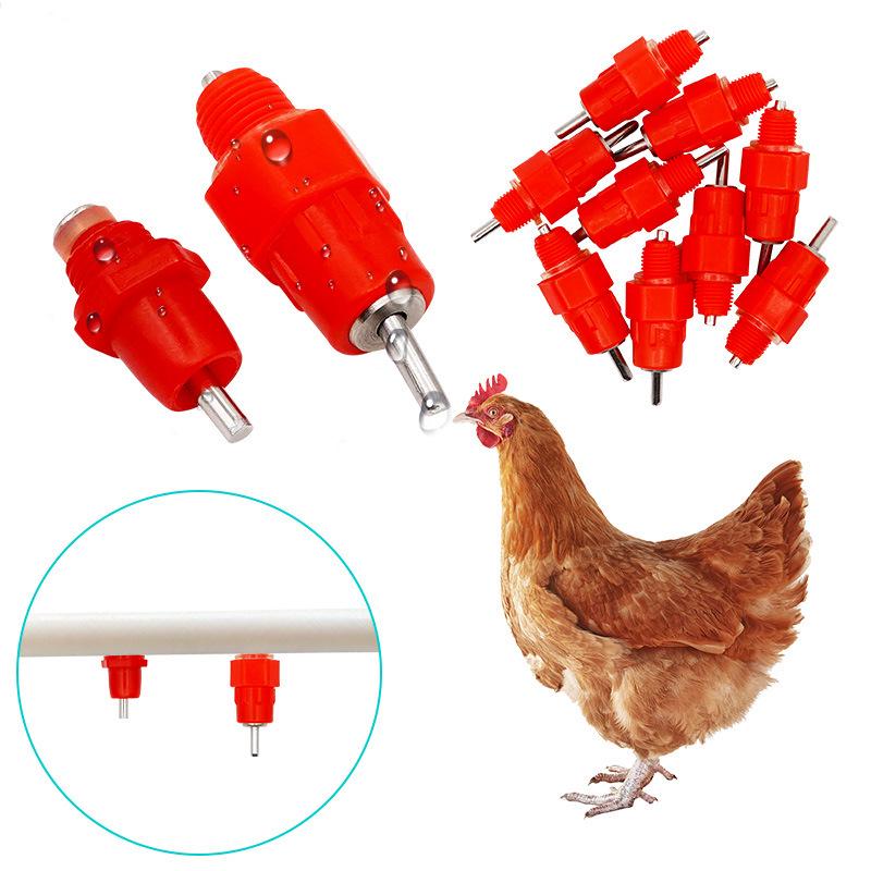 Automatic Poultry Nipple Drinker - Stainless Steel Ball