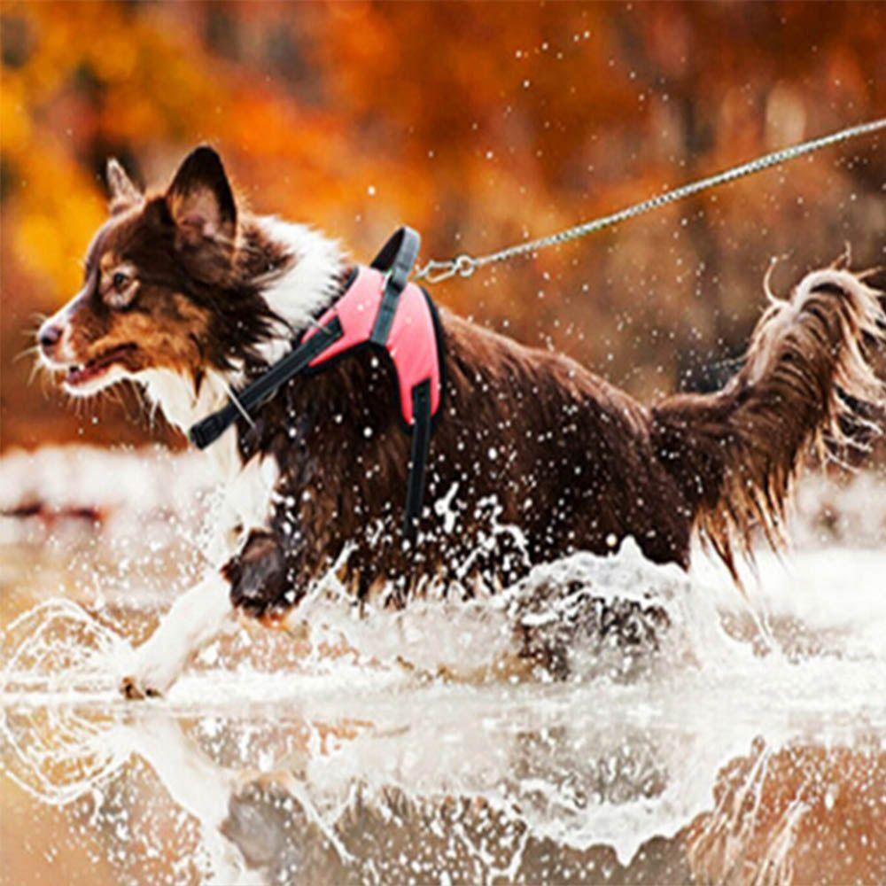 Durable Nylon Dog Cat Harness Adjustable Breathable Dog Harness Vest Heavy Duty Wear-resistant Pet Vest Outdoor