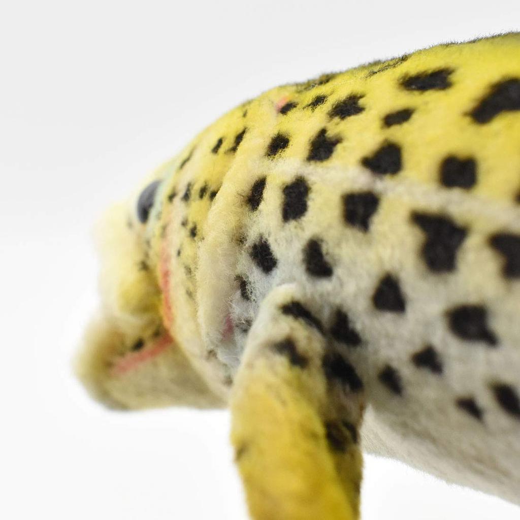 Rainbow trout No. 6047