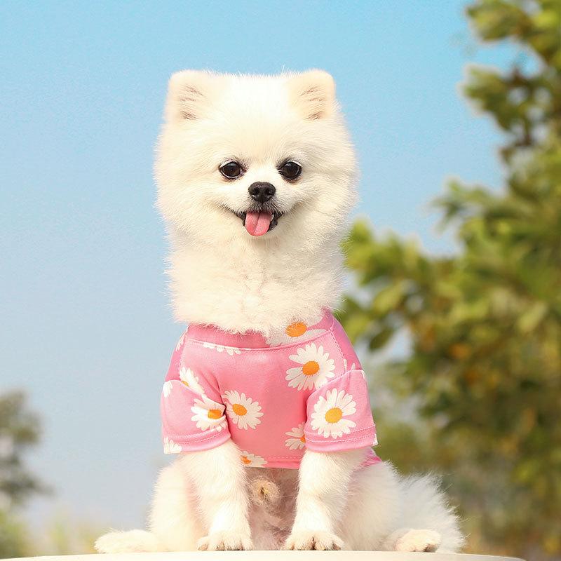 Dog cat clothes spring summer autumn new travel pet supplies teddy than bear small and medium dog daisy