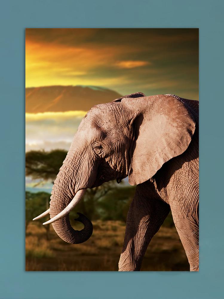 African Elephants Posters Modern Home Decor Animal Canvas Prints Wall Art Pictures for Living Room Interior Decorative Painting