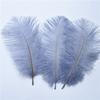 10Pcs Stage Props Ostrich Feathers 15-20cm Colored Ostrich Feathers  Home Decoration