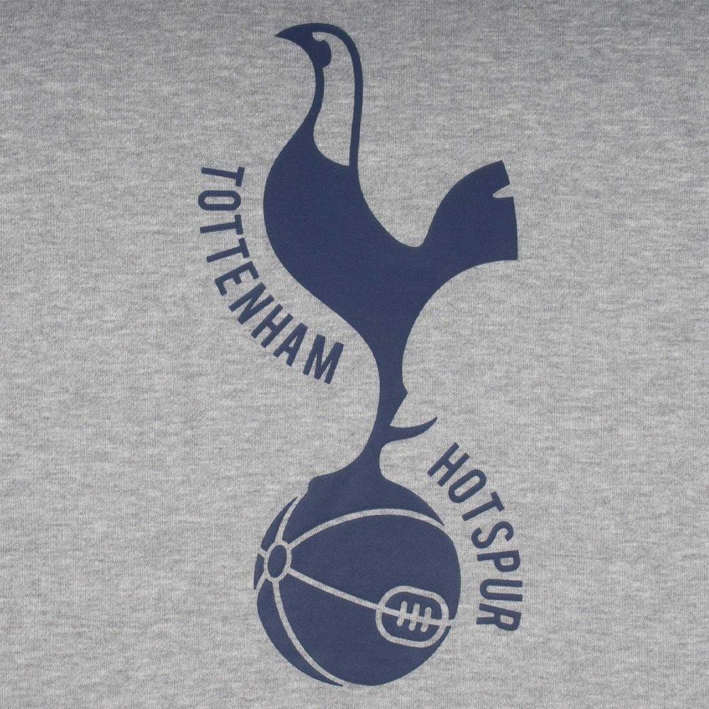 Tottenham Hotspur FC Men's Graphic Fleece Hoodie
