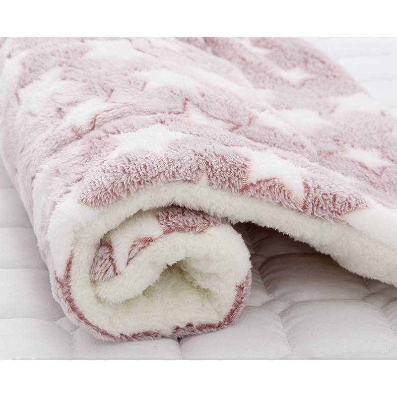 Blanket Warm Pet Pad Beds Cartoon Pattern Antislip Cats Dogs House Lamb Fleece