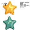 Mini Star Magnets 2Pcs 3D Refrigerator Magnet, Resin Shape Fridge Magnet Magnetic Decoration for Kitchen Office Whiteboard Cabinet Decorative