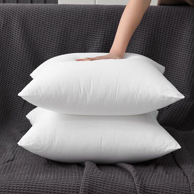 Throw Pillow Cushion Insert