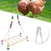 Bird Natural Wooden Chicken Swing Ladder Stand Toys Colourful Beads Chewing Biting Playing