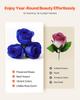 Forever Flowers, 27 Preserved Roses In a Heart Shape Box, Eternal Flowers Immortal Bouquet Birthday Present for Women Her Wife Mothers, Anniversary,