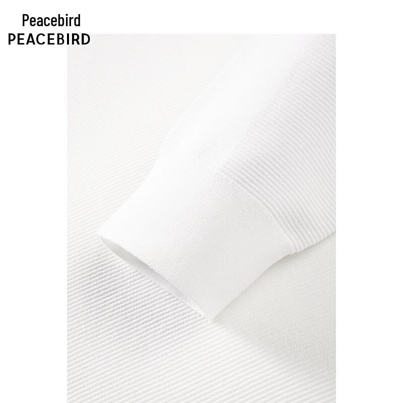 Peacebird Men's Solid Textured Knit Sweater