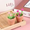 1Pcs Miniatura Miniatura Casa de Bonecas Rosa Planta em Vaso
