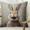 Soft and Smooth Polyester Short Velvet Pillowcase with Single-Sided Rabbit Print