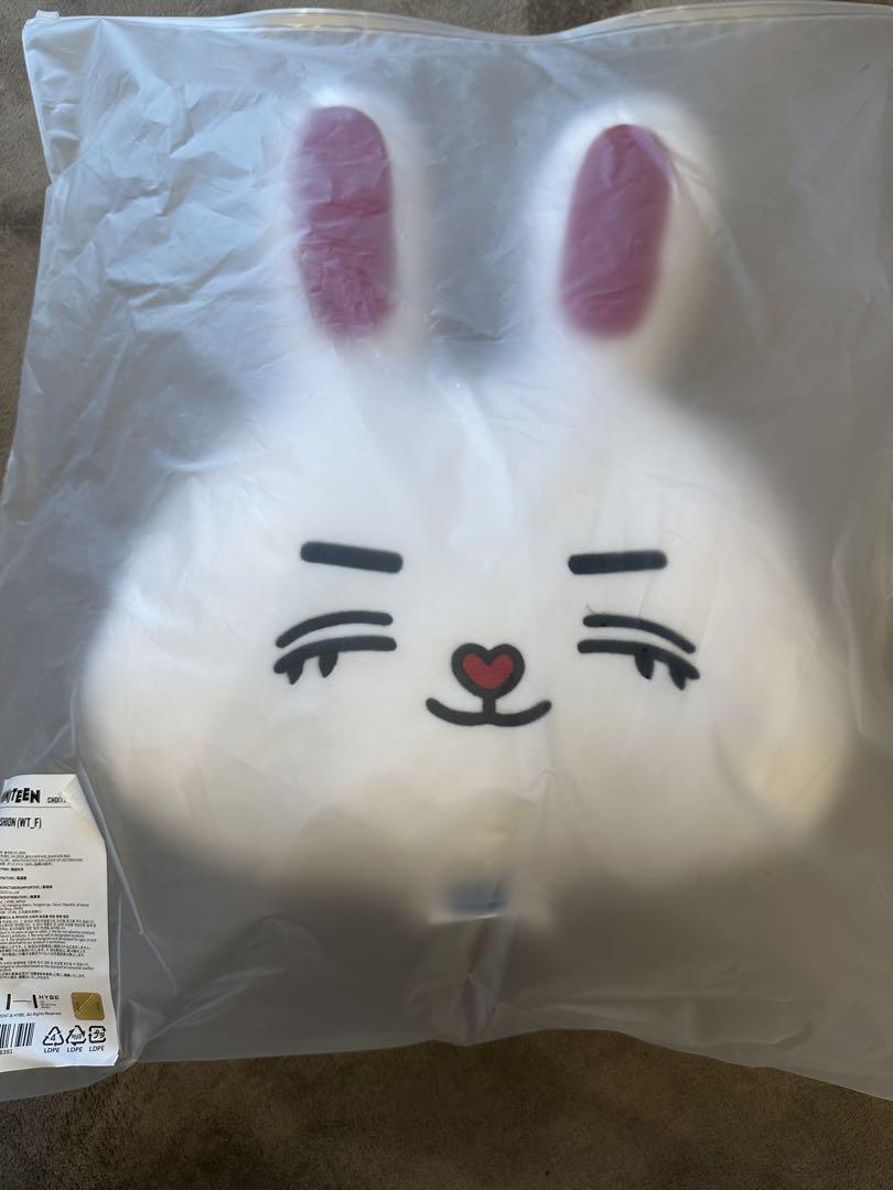 

[USED] Mini Teen Face Cushion S.Coups