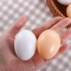 Supplies Breeding Simulation Hen Poultry Fake Eggs Easter  Egg Artificial Eggs Educational Toy
