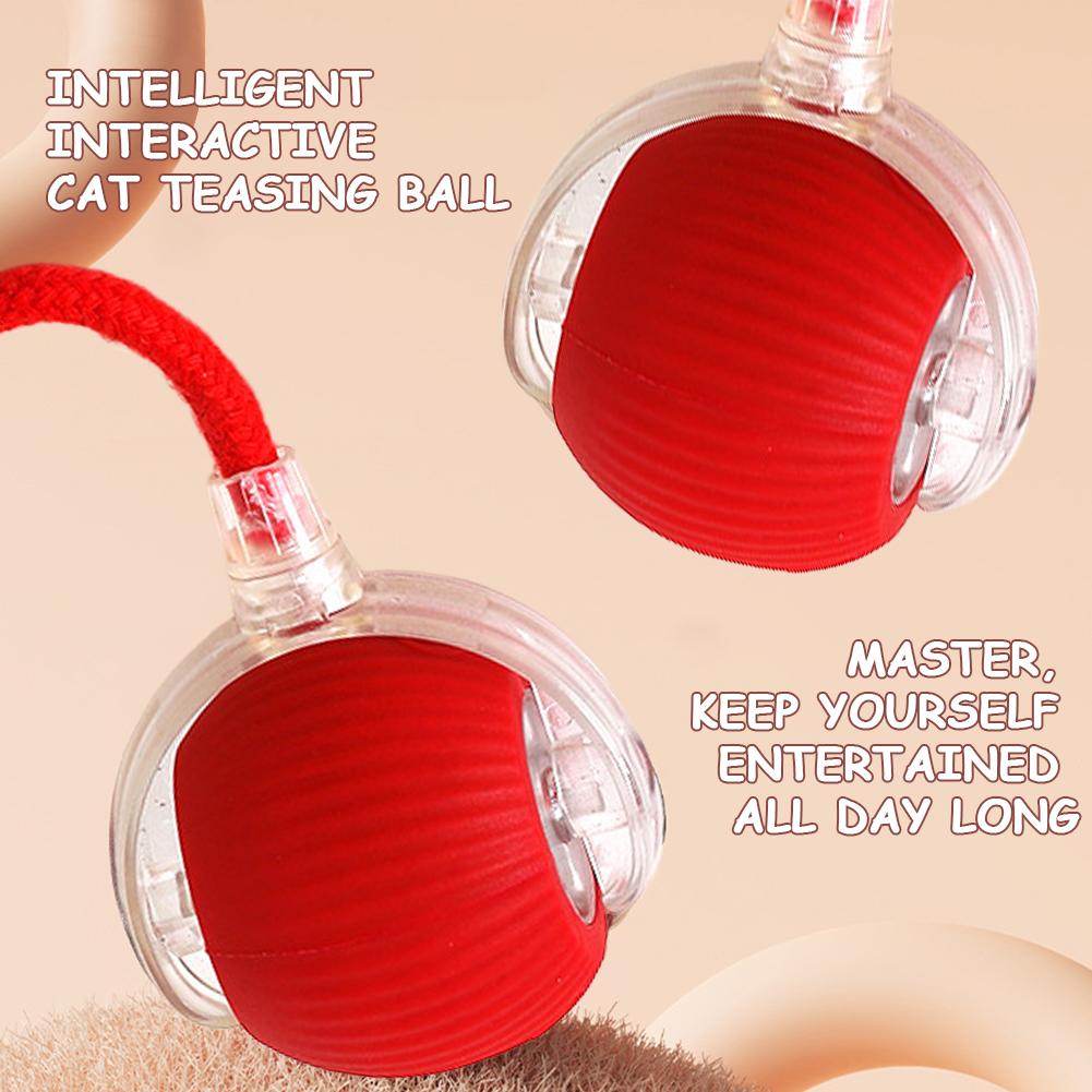 Interactive Cat Toy Ball Automatic Rolling Ball Rechargeable Fast Rolling Ball Anti-Depression Pet Toy for Indoor Cats