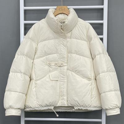 Loose Small Down Jacket Short Women's Jacket Annual Warm Three-button Stand-up Collar Light and Thin