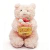 New JC Cute Smiley Face Cake Pink Christmas Gift Party Decoration cake Bear Plush Toy Soft Stuffed Dessert Doll Birthday