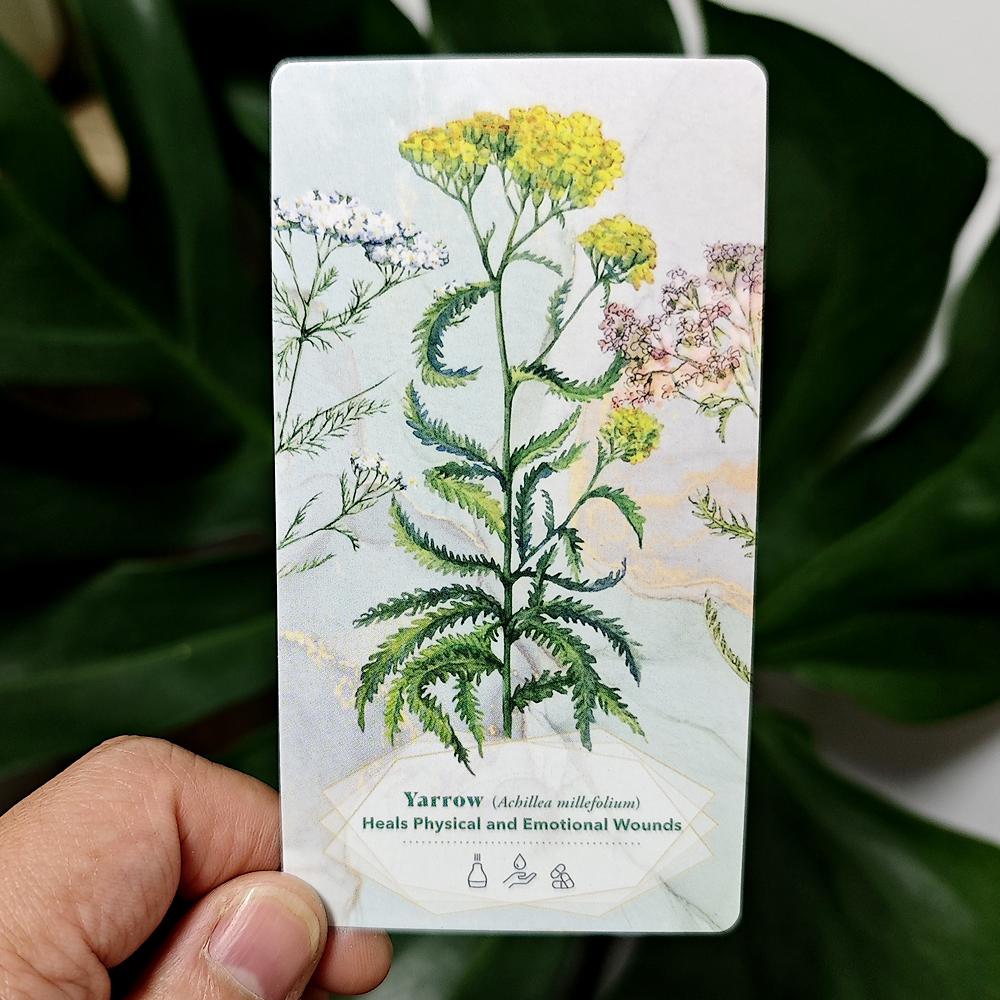 The Essential Oils Healing Deck 52 Cards To Enhance Body, Mind & Spirit 11*6cm