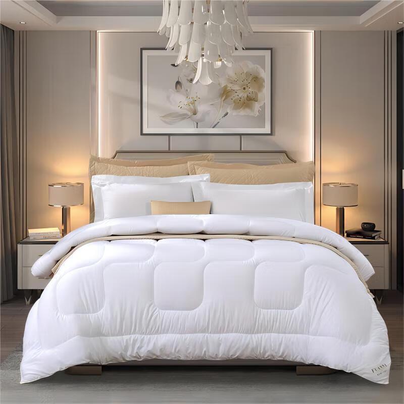 

FUANNA All-Season Warm Core Fiber Comforter