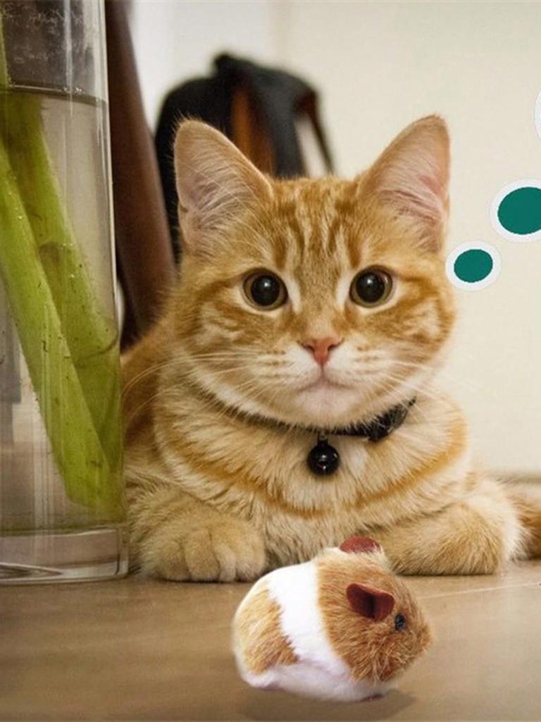 1pc Creative Cat Toys Bite-Resistant Mice Shape Vibrating Moving Cat Interactive Toy Cat Pet Supplies Scrump Plush Fluffy