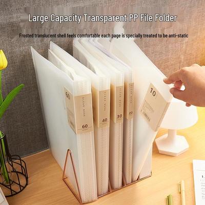 Clear A4 Document Folder with Clips