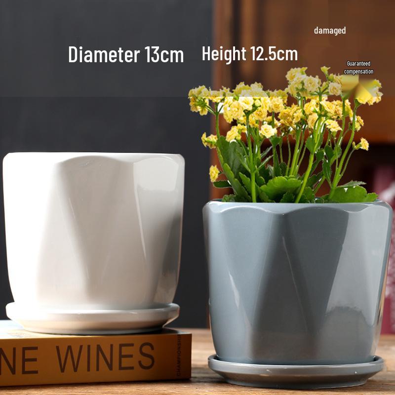 Elegant White Ceramic Flower Pot with Tray - Ideal for Ivy, Spider Plants, and Succulents