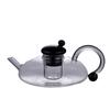 Cute Rat Tail Glass Kettle High Borosilicate Glass Teapot Teacup Set Home Scandinavian Style Brewing Teapot