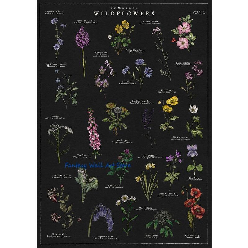 Retro Botanical Artworks British Trees Foraging Wild Food Mushrooms Wildflowers Poster Canvas Painting Wall Pictures Home Decor